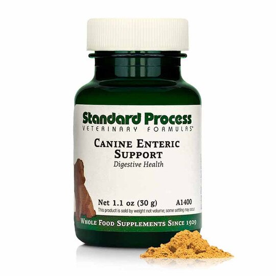 Canine Enteric Support, SP
